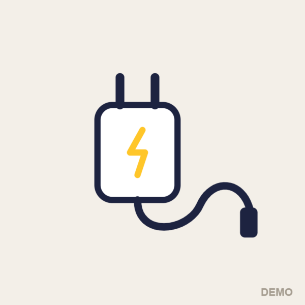 20W Fast Charger with Type-C Cable